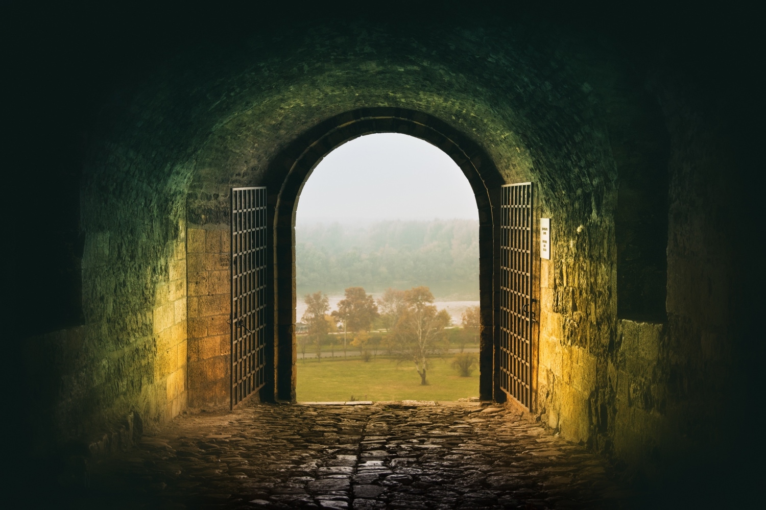 Narrow Gate The Radically InclusiveExclusive Gospel